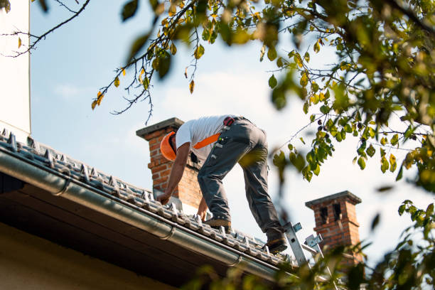 Best Best Roofing Contractors  in Wheaton, IL