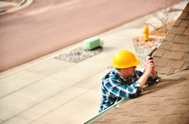 Best Roof Gutter Cleaning  in Wheaton, IL