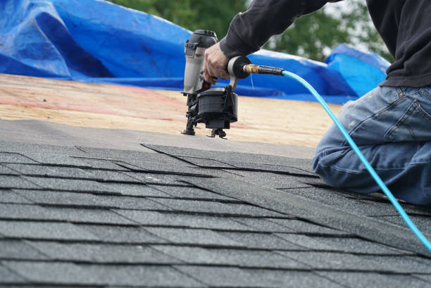 Best Storm Damage Roof Repair  in Wheaton, IL
