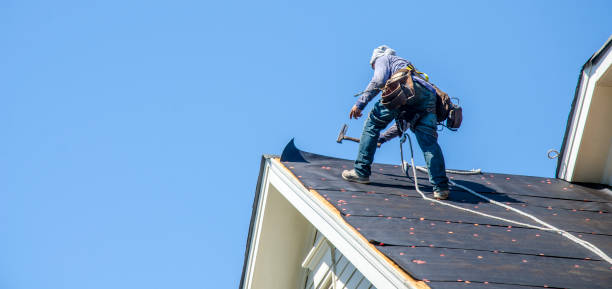 Best Residential Roof Replacement  in Wheaton, IL